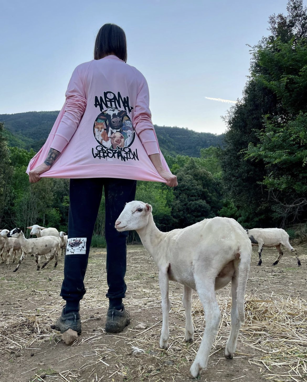 Animal liberation colour